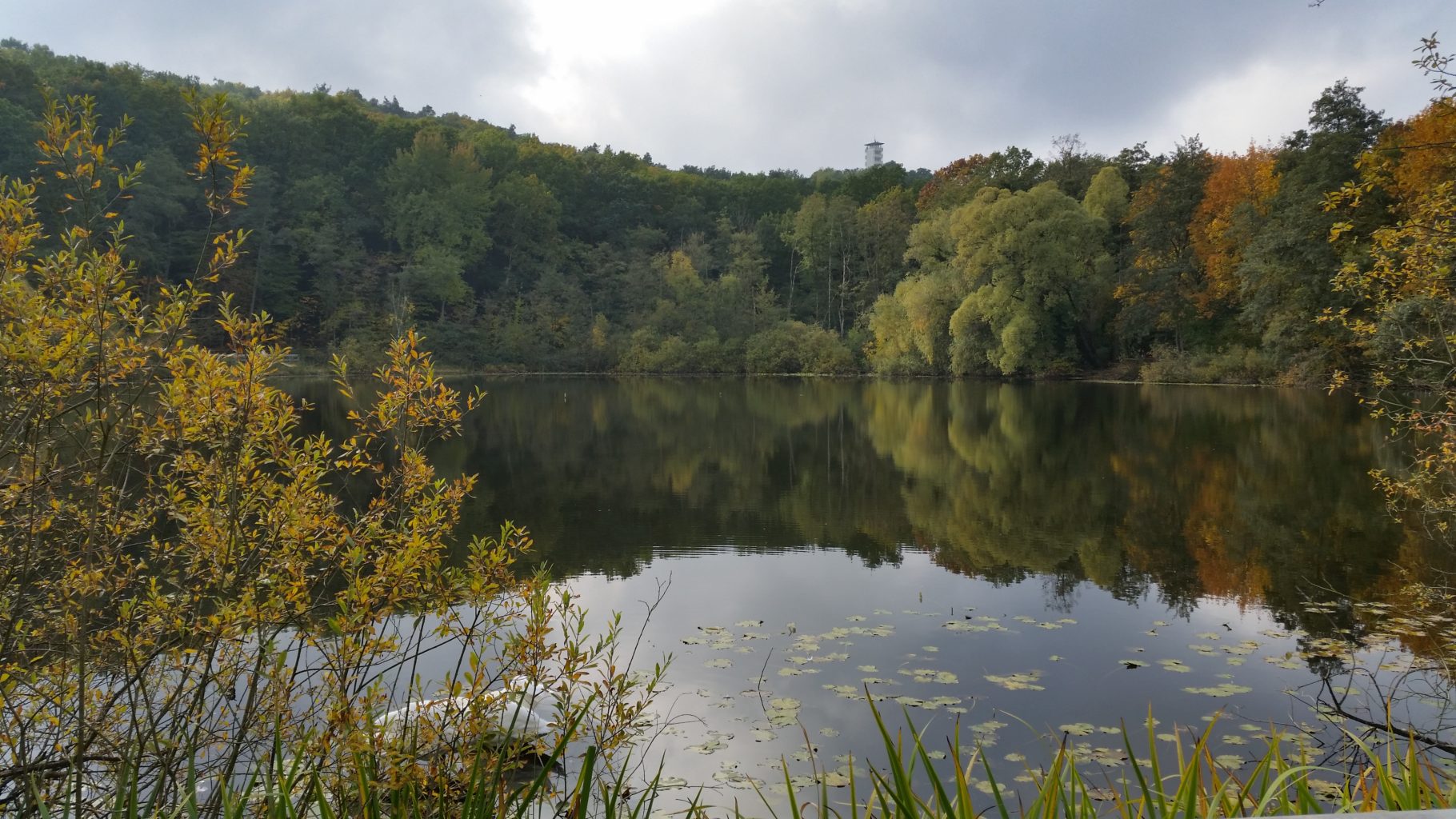 Teufelssee mit Müggelturm im Hintergrund