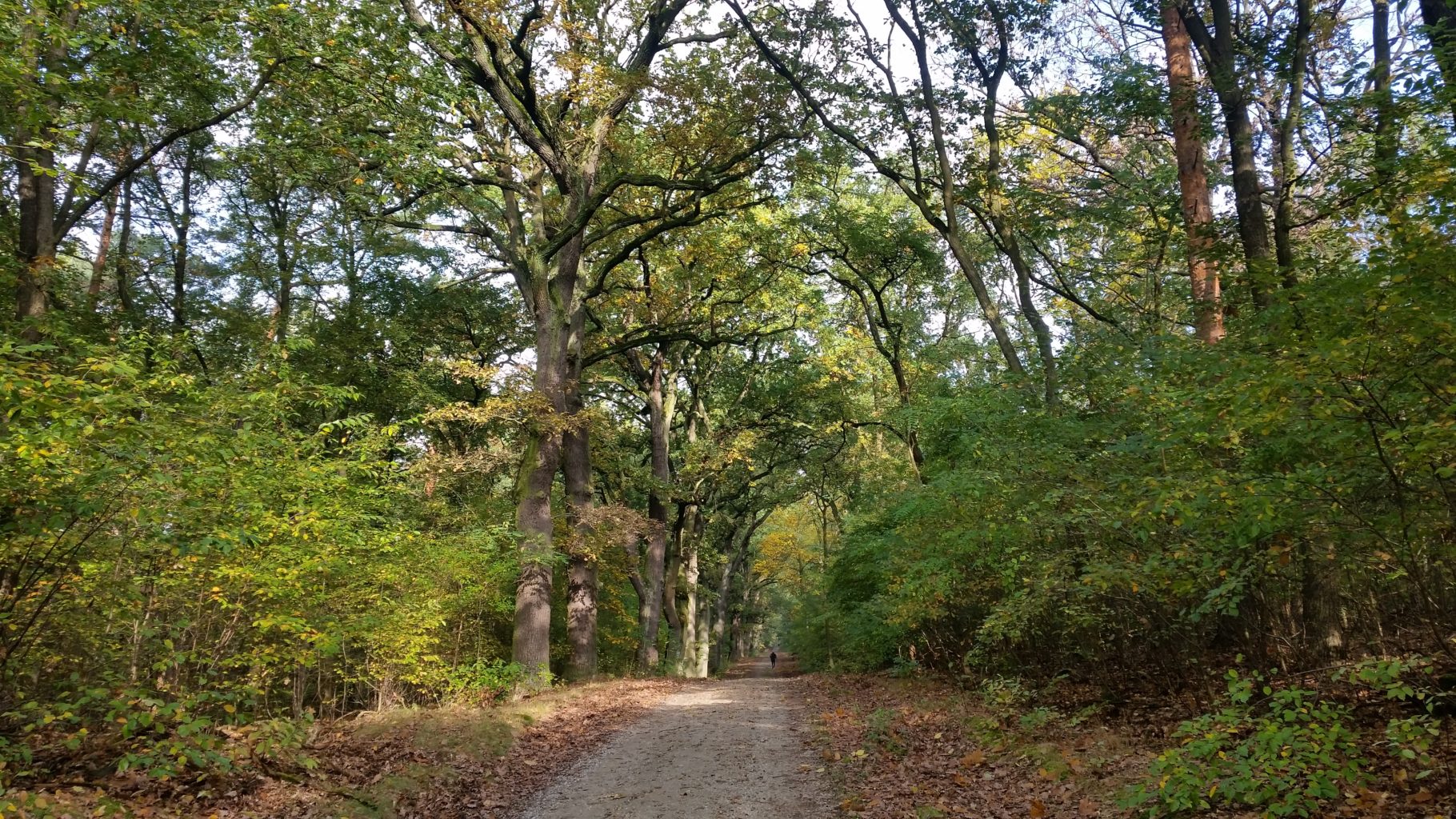 Herbst in den Ravensbergen