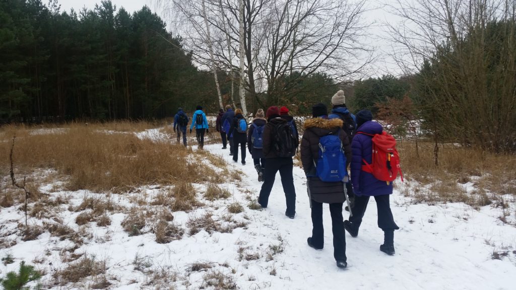 an der Parforceheide bei Steinstücken