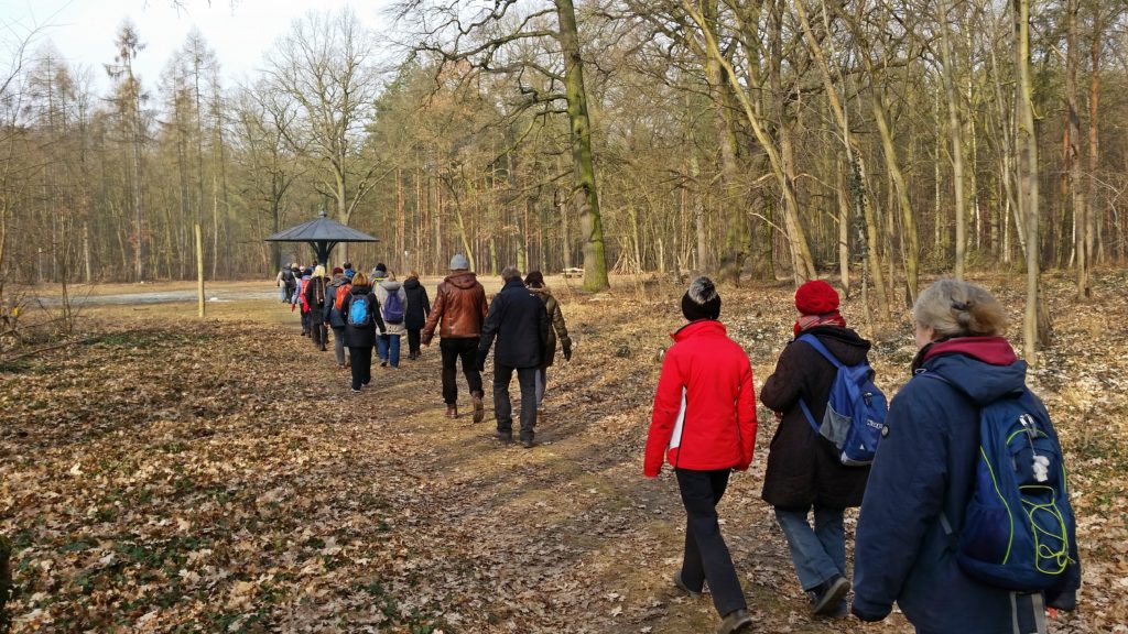 am Wegestern im Wildpark