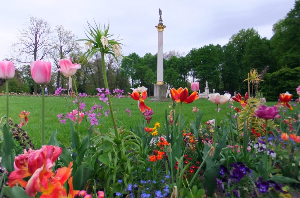 Blütenpracht im Park Sanssouci