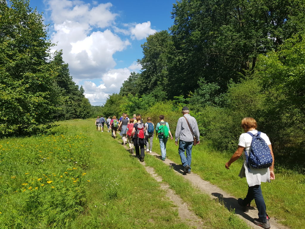 auf dem Mauerweg im Forst Düppel